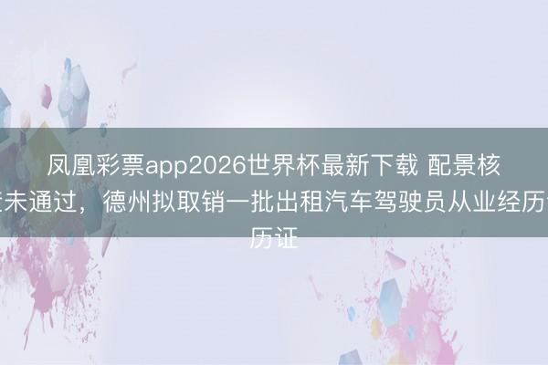 凤凰彩票app2026世界杯最新下载 配景核查未通过，德州拟取销一批出租汽车驾驶员从业经历证