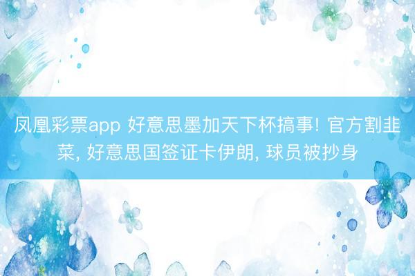 凤凰彩票app 好意思墨加天下杯搞事! 官方割韭菜， 好意思国签证卡伊朗， 球员被抄身