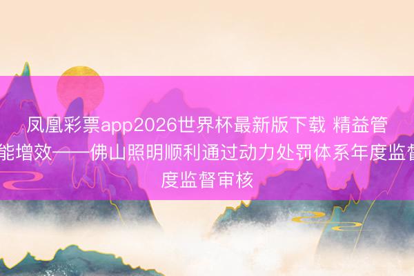 凤凰彩票app2026世界杯最新版下载 精益管控 节能增效——佛山照明顺利通过动力处罚体系年度监督审核