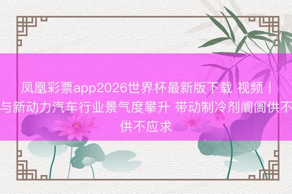 凤凰彩票app2026世界杯最新版下载 视频丨冷链与新动力汽车行业景气度攀升 带动制冷剂阛阓供不应求