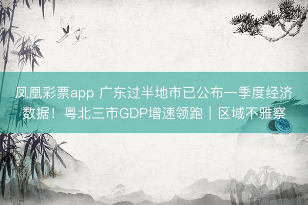 凤凰彩票app 广东过半地市已公布一季度经济数据！粤北三市GDP增速领跑｜区域不雅察
